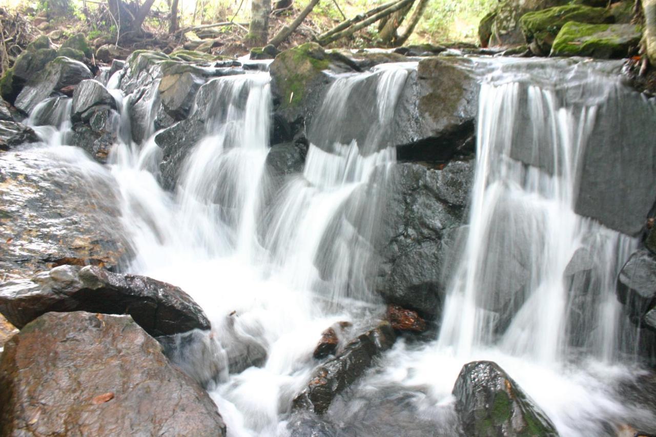 Lacqua Diroma Com Parque Aquatico 24